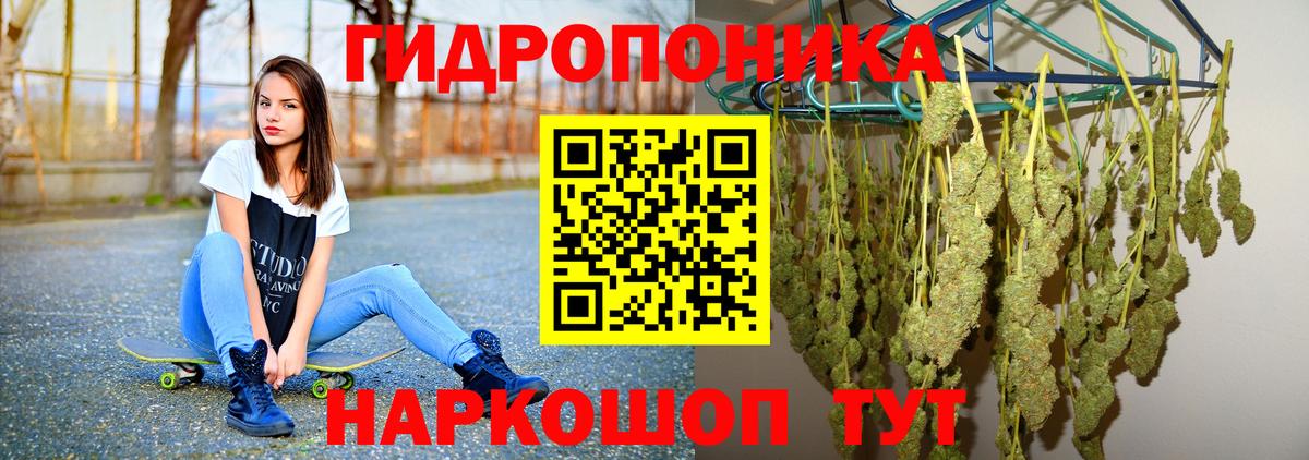 Бошки Шишки семена Мирный