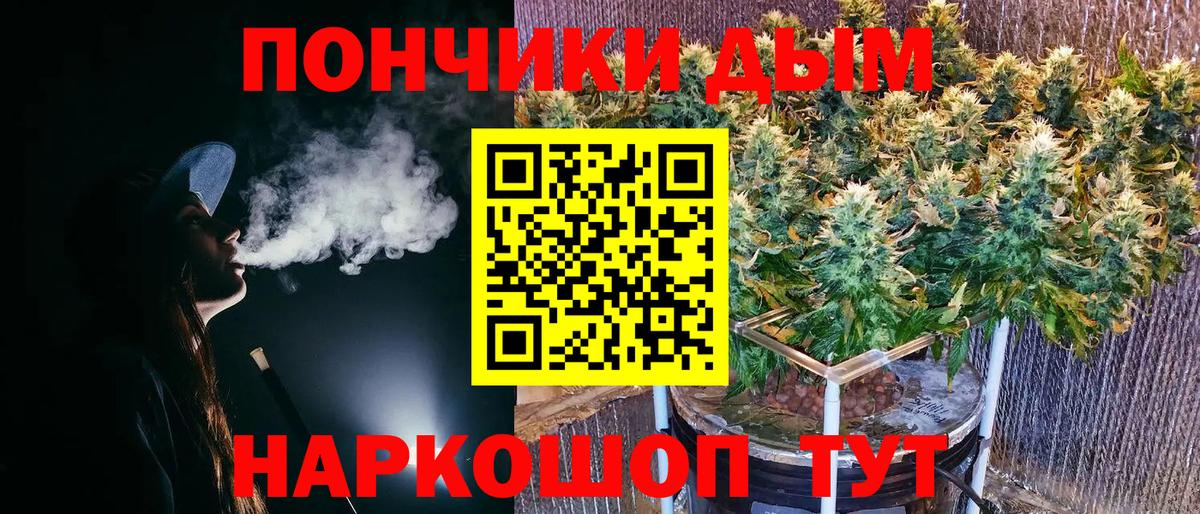 Каннабис Ganja  Вход с VPN  Мирный  Бошки марихуана тримм  Бошки марихуана Bruce Banner 
